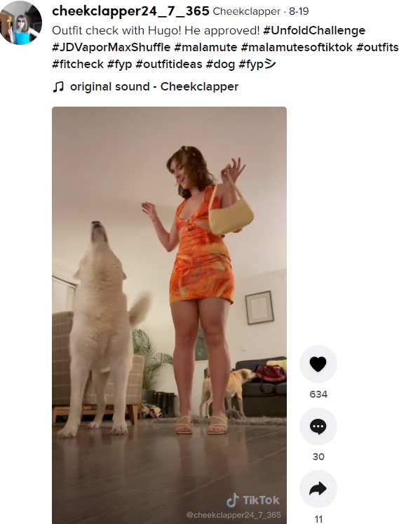 TikTokユーザーの女性が2021年8月、飼い犬の動画を投稿。おしゃれをして出かける様子の女性に「どこに行くの？って尋ねているよ」と驚きの声が続出していた（画像は『Cheekclapper　2021年8月19日付TikTok「Outfit check with Hugo!」』のスクリーンショット）