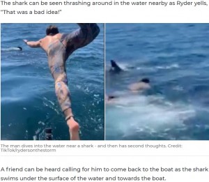 2020年9月、米カリフォルニア州の海に飛び込んだ男性。おとなしい「ウバザメ」と一緒に泳ごうとするも、実は獰猛なホホジロザメだったことから命の危機に直面していた（画像は『7NEWS.com.au　2020年9月29日付「‘That’s not a basking shark, dude’: Man swim with ‘harmless’ creature takes terrifying turn」（Credit: TikTok/rydersonthestorm）』のスクリーンショット）