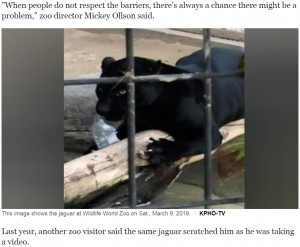 米アリゾナ州の動物園で2019年3月、ジャガーが展示されているコンクリートの防護壁をよじ登り、自撮りをしようとした女性。非を認めて謝罪するも、動物園に「安全策の考慮を」と訴えていた（画像は『CBS News　2019年3月11日付「Woman clawed by jaguar at zoo says it was a “crazy accident”」（KPHO-TV）』のスクリーンショット）