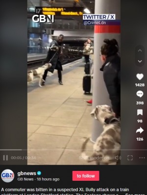 【海外発！Breaking News】電車が近づく駅のホームで男性を突然襲った大型犬　飼い主に非難殺到（英）＜動画あり＞