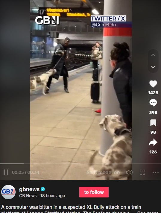 英ロンドンのストラトフォード駅のホームで10日午後4時半頃、女性が連れていた2頭の大型犬「アメリカンブリーXL」が突然暴れ出し、そのうちの1頭に男性が襲われた（画像は『GB News　2023年12月11日付TikTok「A commuter was bitten in a suspected XL Bully attack on a train platform at London Stratford station」』のスクリーンショット）