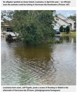 米ルイジアナ州で2021年8月、洪水の影響で水浸しになった家の近くを歩いていた男性がワニに襲われる。洪水の二次被害に「恐ろしい」といった声があがっていた（画像は『Metro　2021年8月31日付「Man feared dead after alligator lurking in Hurricane Ida floodwaters attacked him」（Picture: ＠thatgingeractor/Instagram）』のスクリーンショット）