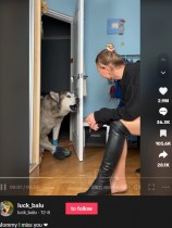 【海外発！Breaking News】後ろ足が麻痺した犬、前足だけで進みドアを開け飼い主にキスを求める（ウクライナ）＜動画あり＞