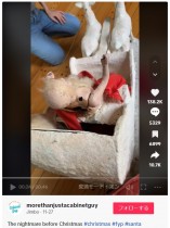 【海外発！Breaking News】地下室で60年ほど眠っていた不気味なサンタクロースの人形　愛犬が吠え続け「呪われているのかも？」（米）＜動画あり＞