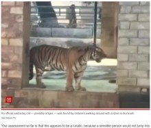 【海外発！Breaking News】靴をくわえているトラに気づいた動物園職員、囲いの中で男性の遺体発見（パキスタン）＜動画あり＞