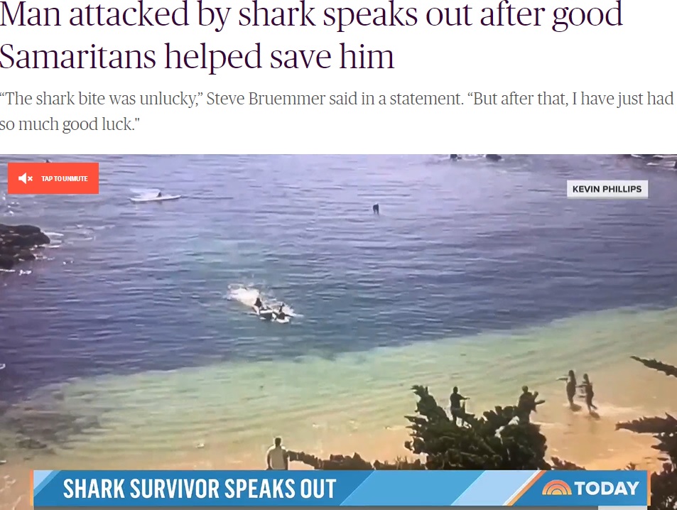 米モントレー湾で2022年6月、遊泳中だった62歳の男性が突然ホオジロザメに襲われた。専門家らは、この襲ったホオジロザメは体長約6メートルと「世界最大級の可能性」があることを指摘していた（画像は『TODAY　2022年6月24日付「Man attacked by shark speaks out after good Samaritans helped save him」』のスクリーンショット）