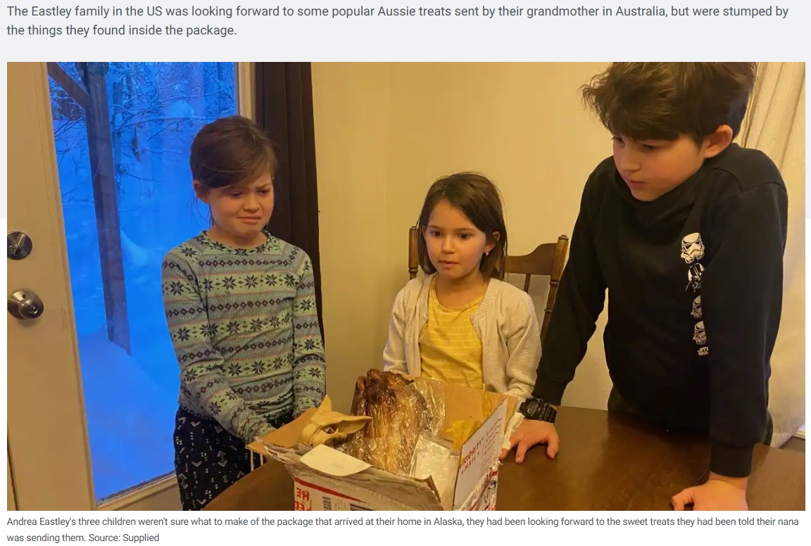 昨年のクリスマス前、アメリカ在住の子どもたちのもとにオーストラリアに住むおばあちゃんからプレゼントが届くも小包の不気味な中身に絶句したという。税関職員によるミスが疑われていた（画像は『SBS　2022年12月24日付「An Australian family was expecting biscuits and lollies in a Christmas parcel. Inside, they found a skull」（Source: Supplied）』のスクリーンショット）