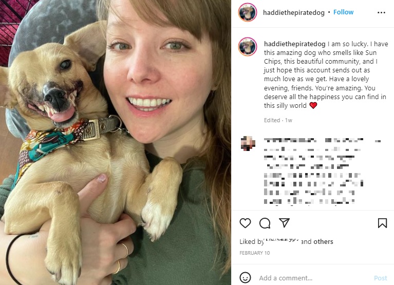 闘犬を興奮させる噛まれ役として利用されてきたハディ。エリンさんと運命的な出会いをして今では幸せに（画像は『Haddie the Dog　2022年2月10日付Instagram「I am so lucky.」』のスクリーンショット）