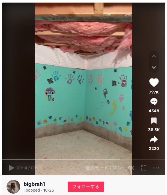TikTokerの女性が2023年10月、自宅の動画を投稿して注目を集めた。自宅の地下にある浴室のキャビネットを開けてみたところ奥に隠し部屋があり、その壁にはいくつものカラフルな色の手形と足形があった（画像は『bigbrah1　2023年10月23日付TikTok「what do i do ?」』のスクリーンショット）