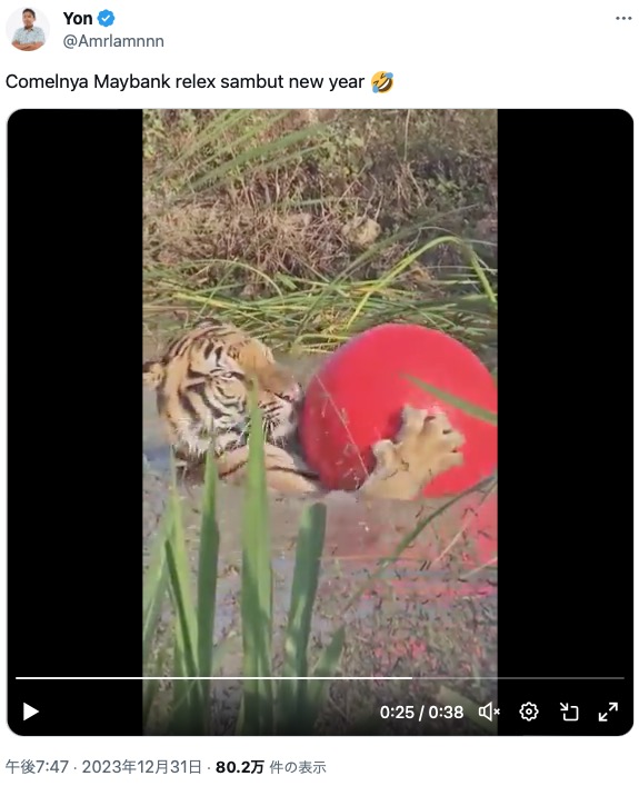 池でぷかぷかと気持ちよさそうに浮いているトラ。かつては動物園の劣悪な環境で過ごしていたという（画像は『Yon　2023年12月31日付X「Comelnya Maybank relex sambut new year」』のスクリーンショット）