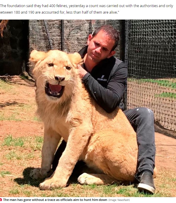 2022年7月、メキシコの動物保護施設が閉鎖に追い込まれた。ストレスなどで尻尾をかじったり、餓死寸前で立つこともできないライオンを捉えた施設内部の告発動画が決め手になったという（画像は『The Daily Star　2022年7月9日付「Hungry lions left to eat their own tails as cruel zoo owner goes on the run」（Image: Newsflash）』のスクリーンショット）