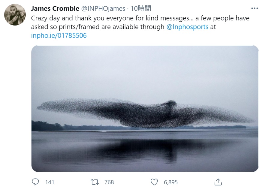アイルランドのエネル湖で2021年3月、飛び回るムクドリが翼を広げた大きな鳥の姿を作った瞬間が収められた（画像は『James Crombie　2021年3月3日付X「Crazy day and thank you everyone for kind messages...」』のスクリーンショット）