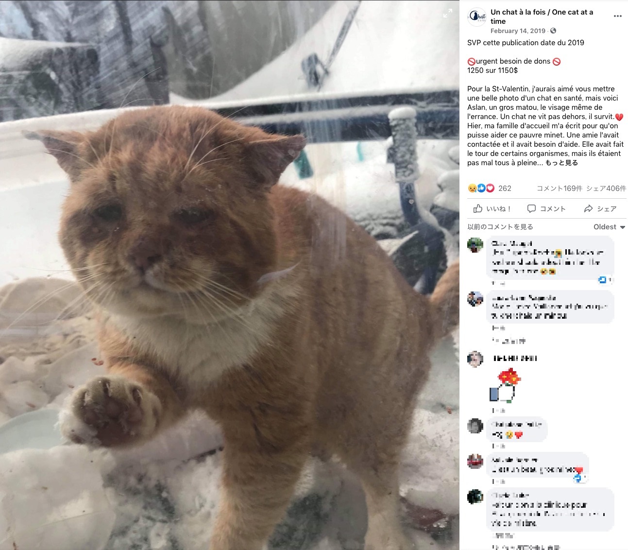 カナダのケベック州のある家で2019年2月、窓ガラス越しに雪の中で凍えそうにしている猫がいた。猫は「中に入れて欲しい」と言わんばかりの表情でガラス窓をノックするように引っ掻いていたという（画像は『Un chat à la fois / One cat at a time﻿　2019年2月14日付Facebook「SVP cette publication date du 2019」』のスクリーンショット）