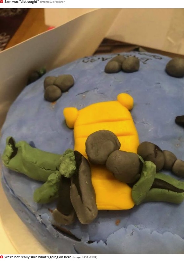 魚釣りがテーマだったが、何かよく分からない仕上がりのケーキ。頼んだ女性の母親は「今となっては笑い話」と言いつつも、注意喚起していた（画像は『Mirror 2020年10月17日付「Woman ‘distraught’ after receiving ￡50 birthday cake ‘made by a child’」（Image: BiPM MEDIA）』のスクリーンショット）