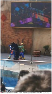 太湖ドラゴンドリーム楽園のアニマルショーは、かねてから動物虐待が指摘されていた（『The Daily Star　「Dancing bear attacks ringmaster during sick circus show before being tackled by six men」（Image: AsiaWire）』より）
