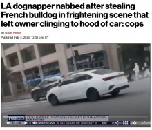 【海外発！Breaking News】犬の誘拐犯、止めようとする飼い主を車のボンネットに乗せたまま疾走（米）＜動画あり＞