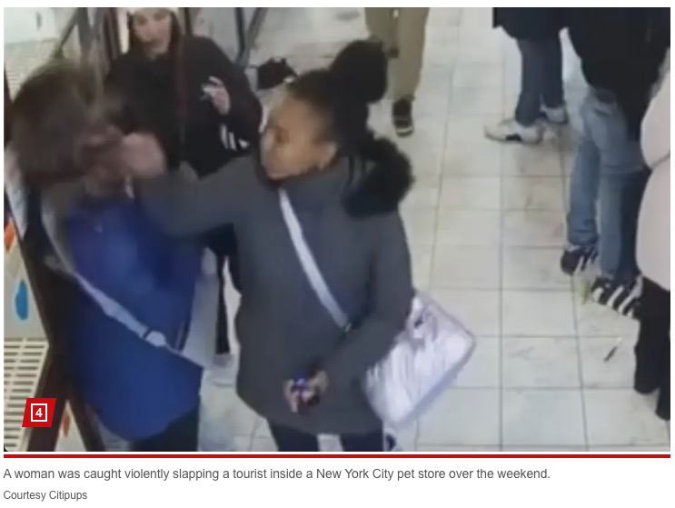 女性は女に鼻血が出るほど強く殴られたようだ（『New York Post　「Irate woman tossed out of NYC pet store for kicking puppy kennel ‘slaps the s-t out’ of tourist: ‘Welcome to New York’」（Courtesy Citipups）』より）