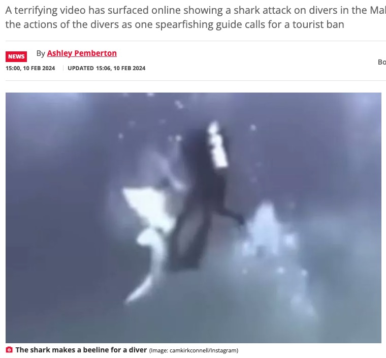 モルディブでダイビングをしていた観光客らがサメに突進される瞬間。その映像が多くの人に衝撃を与えた（『The Daily Star　「Horror as shark attacks four tourist divers in Maldives by ramming them with its head」（Image: camkirkconnell/Instagram）』より）