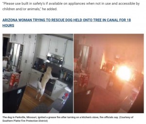 2022年6月、米ミズーリ州のある住宅が火事に見舞われた。原因は飼い主の留守中、犬が電気コンロのスイッチを入れてしまったことによるものだった（『Fox News　「Missouri dog sets home on fire after turning on stove, video reveals」（Courtesy of Southern Platte Fire Protection District）』より）