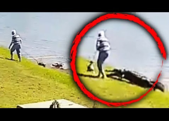 米フロリダ州の湖で2023年2月、犬を散歩中の85歳の女性がワニに襲われ死亡した。事故直前の映像が公開され、衝撃が広がっていた（『Inside Edition　YouTube「911 Call Reveals Moments After Gator Attacks Elderly Woman」』より）