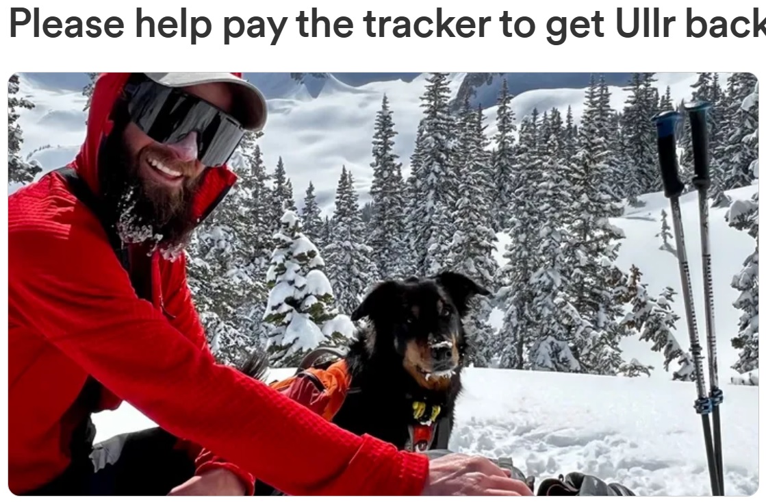 雪山で愛犬とバックカントリースキーを楽しんでいた男性は、雪崩に巻き込まれて重傷を負った。愛犬は逃げ切れたものの、行方不明となってしまった（画像は『GoFundMe　「Please help pay the tracker to get Ullr back home!」』より）