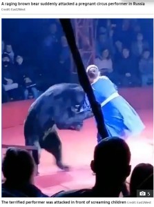 2021年、露オリョール州で行われていたサーカスの公演中に、クマが女性トレーナーを襲う。女性は「私が妊娠していたので、クマは嫉妬していたのかもしれない」と話していた（『The Sun　「BEAR RAGE Horror moment ‘jealous’ brown bear attacks pregnant circus performer in front of screaming children」（Credit: East2West）』より）