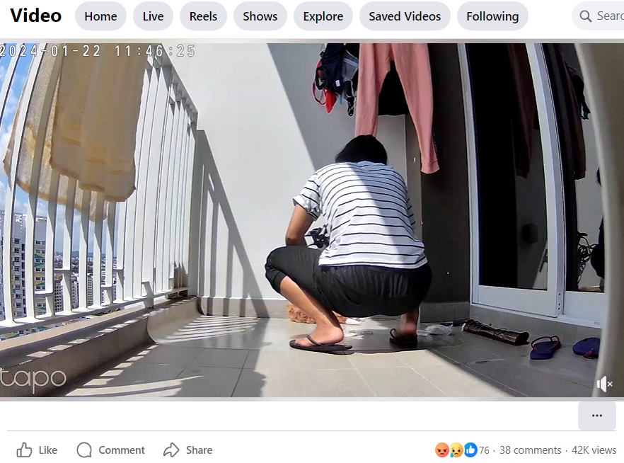 シンガポールに住む動物愛護家が日本時間2月26日、Facebookに友人宅の監視カメラの映像を投稿。動画には女ヘルパー（メイド）が友人の愛犬を虐待する様子が映し出されており“怒りの声”が殺到した（『Tan Derrick　Facebook「Trigger Warning」』より）