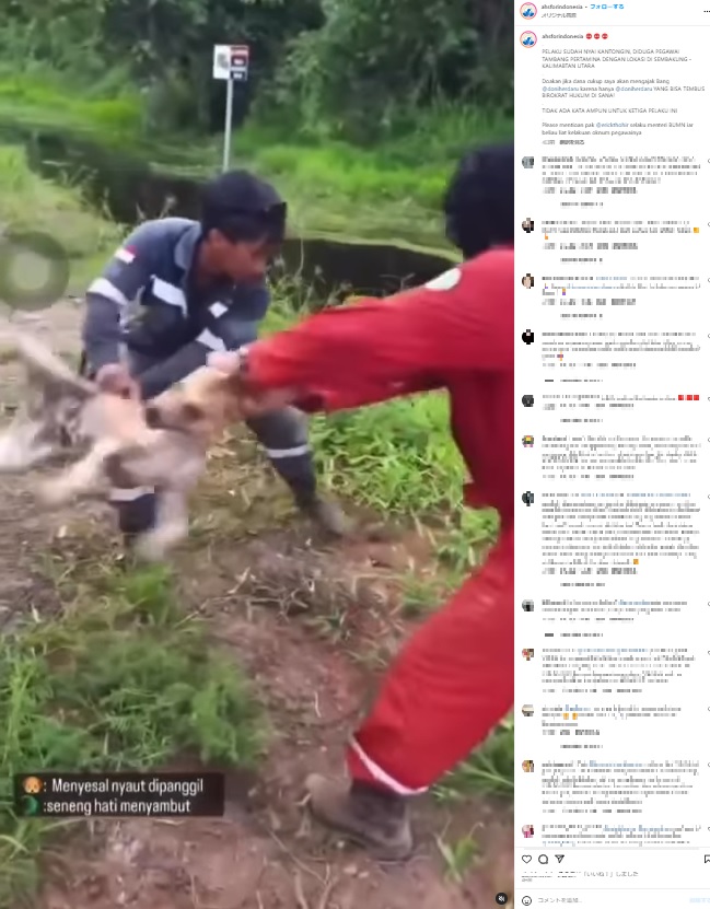 インドネシアで今年6月、2人の心無い男によって野良犬が川に投げ込まれ、瞬く間にワニの餌食となった。SNSで動画が拡散すると怒りの声が殺到した（『Animals Hope Shelter　Instagram「PELAKU SUDAH NYAI KANTONGIN」』より）
