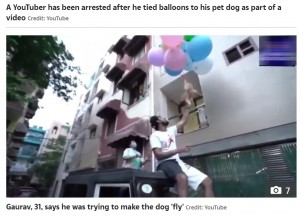 インド在住のユーチューバーが2021年5月、愛犬に風船を括りつけて空へ飛ばすという動画を撮影。のちにこのユーチューバーは動物虐待とみなされ、逮捕された（『The Sun　「RUFF RIDE Indian YouTuber arrested for tying balloons to pet dog to make it fly for cruel video stunt」（Credit: YouTube）』より）