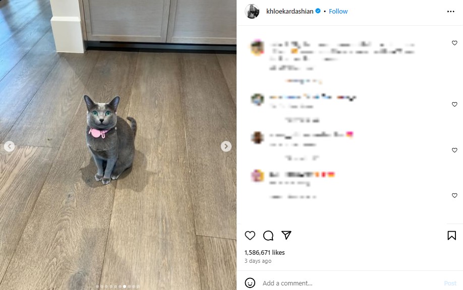 クロエが披露した愛猫グレイ・キティの写真。微笑んでいるような口元が不自然だといった声が多数寄せられた（『Khloé Kardashian　Instagram』より）