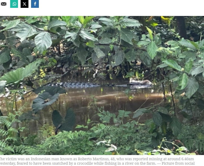 2024年2月7日、マレーシアのある川で釣りをしたまま行方不明になっていた40代男性の遺体が翌日、捜索隊によって発見された。遺体はワニ（クロコダイル）がくわえていたという（『Malay Mail　「Kinabatangan police fire 12 shots at croc before reptile frees what’s left of victim」（Picture from social media）』より）