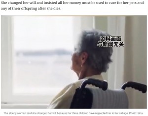 女性が体調を崩した頃、3人の子どもはお見舞いどころか連絡すらしなかったという。そこで女性は、癒しとなったペットたちにすべての遺産を相続させることに決めた（画像は『South China Morning Post　2024年1月24日付「Fortune cats and dogs: elderly China woman leaves US＄2.8 million assets to beloved pets instead of children who never visited even when she was ill」（Photo: Sina）』のスクリーンショット）