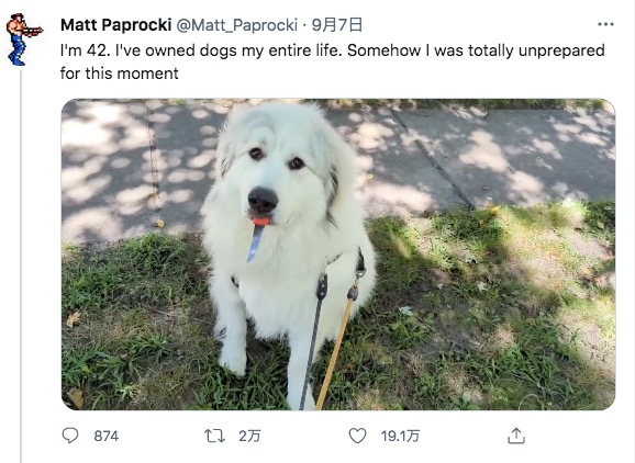米オハイオ州在住の男性が2022年9月、犬を散歩させていた時の動画をSNSに投稿。犬は拾った食卓用のナイフをくわえており、なかなか離さなかった（『Matt Paprocki　X「I’m 42. I’ve owned dogs my entire life.」』より）