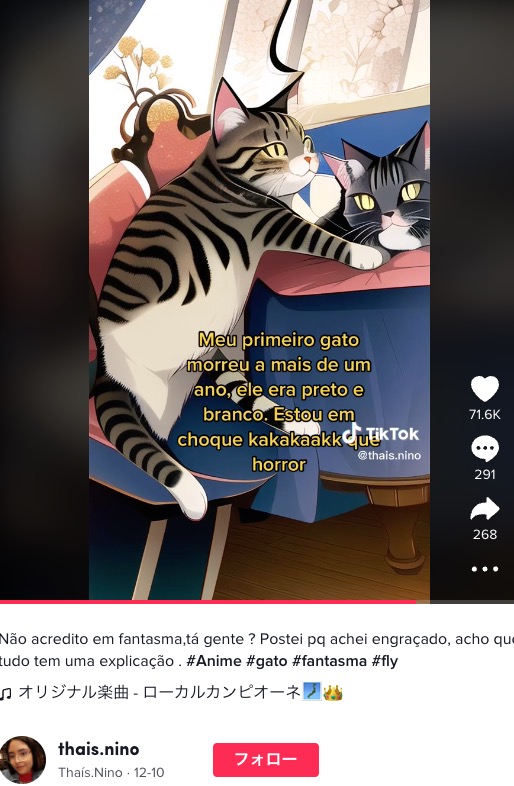 ブラジル在住の女性が2022年12月に投稿した動画が話題に。TikTokのAIマンガフィルターで何もない場所に亡き愛猫の姿が出現していた（『Thaís.Nino　TikTok「Não acredito em fantasma,tá gente ?」』より）