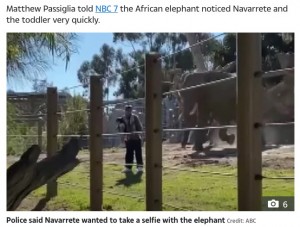 米カリフォルニア州の動物園で2021年3月、2歳の娘を連れてゾウ舎に侵入した男が逮捕された。男は雄のアフリカゾウと記念撮影がしたかったという（『The Sun　「‘A BIG ROAR’ Shock moment huge elephant charges at man who took his toddler daughter INSIDE enclosure at San Diego zoo」（Credit: ABC）』より）