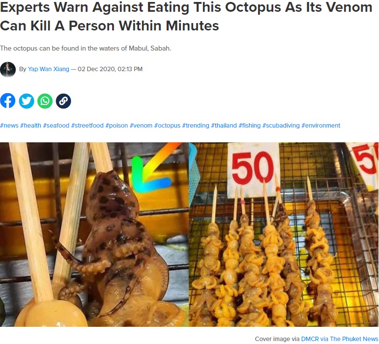 タイの夜市で2020年11月、数分で26名もの命を奪うほどの毒を持つヒョウモンダコが、屋台の串焼きに交じって売られていた（『SAYS　「Experts Warn Against Eating This Octopus As Its Venom Can Kill A Person Within Minutes」（Cover image via DMCR via The Phuket News）』より）