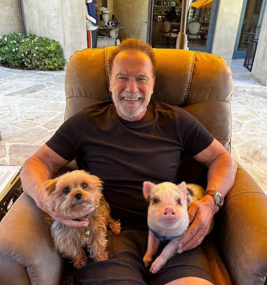ペットとともに自宅のアームチェアに座るアーノルド。先日、心臓にペースメーカーを埋め込んだと告白した（『Arnold Schwarzenegger　Instagram「The family is growing.」』より）