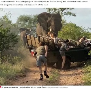 南アフリカのクルーガー国立公園で2021年11月、サファリカーがオスのゾウに襲われた。ゾウはマスト期だったことから攻撃的な行動を見せたようだ（『The Daily Star　「Sex-crazed elephant attacks safari car and rams it off road as students run in terror」（Image: ＠ItsGoingViral1/Jamie Pyatt）』より）