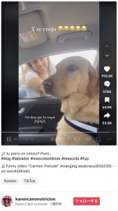 メキシコ在住の女性が2023年6月、飼っているオス犬の動画をSNSに投稿。女性が別の犬といるところをたまたま目撃したオス犬は、女性に対して完全無視を決め込んでいた（『Karen Cano nutrición　TikTok「¿Y tu perro es celoso? Pues…」』より）
