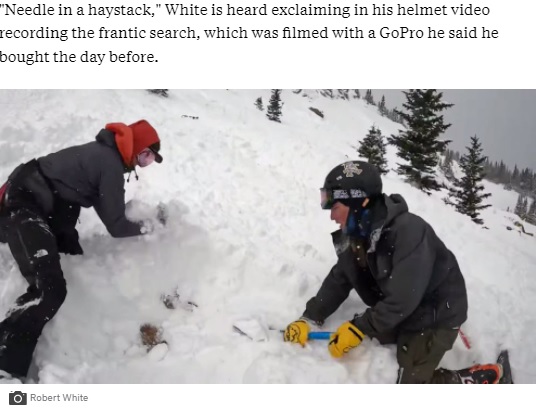 2021年には米コロラド州の山中で雪崩が発生し、1頭の犬が生き埋めになった。犬の発見には20分を要しており、緊迫した救出劇の様子を捉えた動画が拡散した（『ABC News　「Helmet video captures Colorado college students rescuing dog buried in avalanche」（Robert White）』より）