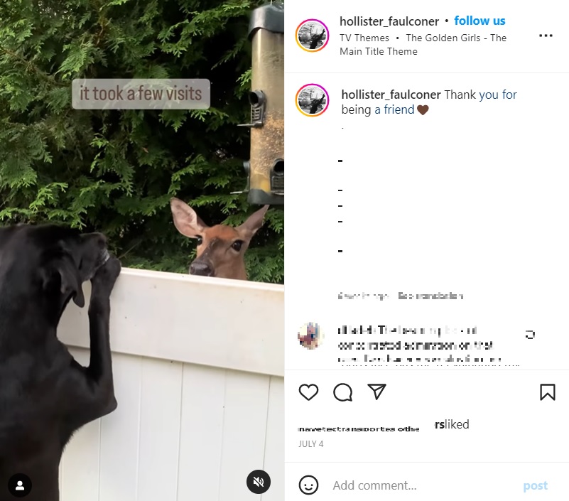 米バージニア州に住むある飼い主は2022年夏、1頭のシカがたびたびやってくることに気付いた。その後、飼い犬とシカの温かい交流が始まったという（『Hollister Faulconer　Instagram「Thank you for being a friend」』より）