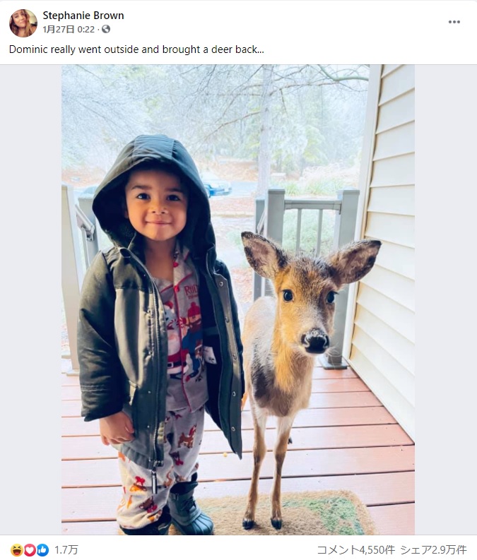 2021年1月、米バージニア州のリゾート施設を訪れていたある一家。外で遊び終えた4歳息子が、野生の小鹿と一緒に玄関先にいたという（『Stephanie Brown　Facebook「Dominic really went outside and brought a deer back...」』より）