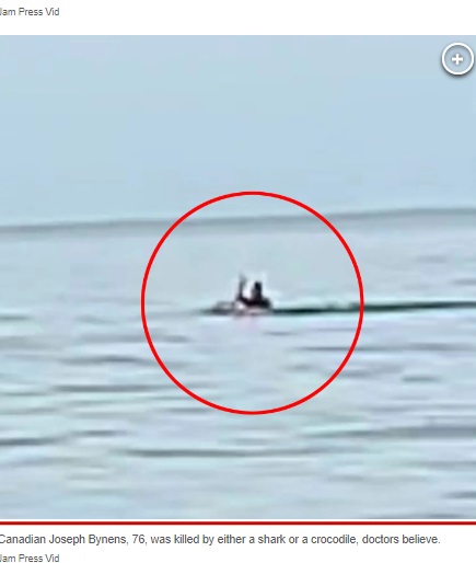 メキシコのビーチで2023年12月、76歳の男性がサメかワニの襲撃を受けて死亡した。男性が襲われているのに気付いたのは、たまたま砂浜で撮影をしていた家族だった（『New York Post　「Video accidentally captures deadly ‘shark attack’ on Mexico vacation」（Jam Press Vid）』より）