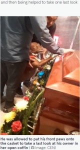 メキシコで2022年5月、亡き飼い主の棺を覗き匂いを嗅ぐ犬の姿が捉えられ、「悲しみが分かっている」といった声が届いていた（『The Mirror　「Heartbreaking moment mourning dog pays final respects to owner at funeral」（Image: CEN）』より）