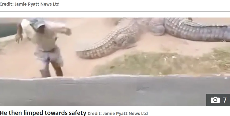 隙を見て立ち上がり、足を引きずりながら逃げる男性。クロコダイルの専門家は「ワニは男性に警告を与えただけ。もし殺すつもりだったら、簡単に殺せたはずだからね」と分析した（『The Sun　「CROC SHOCK Horror moment 15ft crocodile with ‘world’s most powerful bite’ sinks teeth into screaming zookeeper」（Credit: Jamie Pyatt News Ltd）』より）