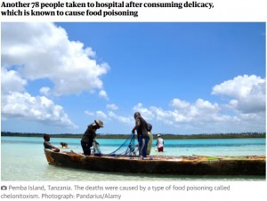集団食中毒が発生したザンジバル諸島のペンバ島。現地でウミガメは珍味として扱われている（『The Guardian　「Eight children and an adult die in Zanzibar after eating sea turtle meat」（Photograph: Pandarius/Alamy）』より）
