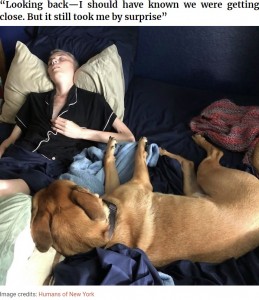 がんで亡くなった姉の愛犬を引き取った女性が2020年8月、姉への想いや犬との絆についてFacebookに明かした。愛犬は「ずっと姉のそばに寄り添っていた」と綴っていた（『Bored Panda　「Girl Loses Her Sister To Cancer, Sister’s Dog Jet Steps In To Help Her Mourn And They Become Inseparable」（Image credits: Humans of New York）』より）