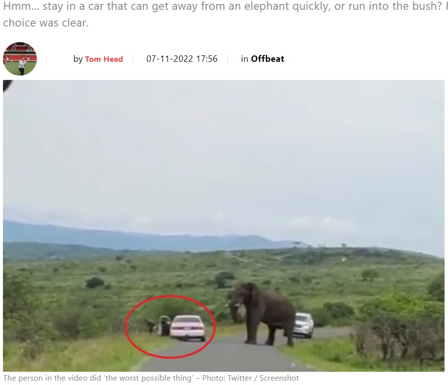 2022年11月、南アフリカの野生動物保護区で撮影された動画が公開される。ゾウから逃げようとした男性が車を飛び出しており、環境機関の担当者は「野生動物保護区で最も危険な行動」と警告していた（『The South African　「WATCH: Man FLEES car on game drive - after elephant encounter」（Photo: Twitter / Screenshot）』より）