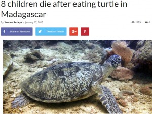 マダガスカルでも2018年1月にウミガメの肉による食中毒が発生。8人が死亡していた（『CGTN Africa　「8 children die after eating turtle in Madagascar」』より）