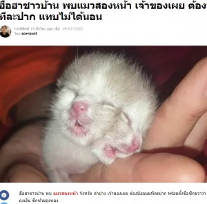 2022年7月、タイで誕生した“ヤヌスネコ”。2つの口でミルクを飲み始めるなど強い生命力を見せていたが、生後4日目に亡くなった（『Thaiger　「ข่าวฮือฮาชาวบ้าน พบแมวสองหน้า เจ้าของเผย ต้องป้อนนมทีละปาก แทบไม่ได้นอน」』より）